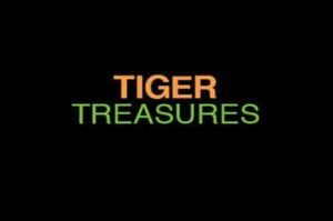 Tiger treasures Automatenspiel ohne Anmeldung