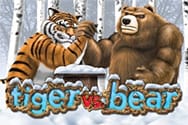 Tiger vs. Bear Automatenspiel ohne Anmeldung