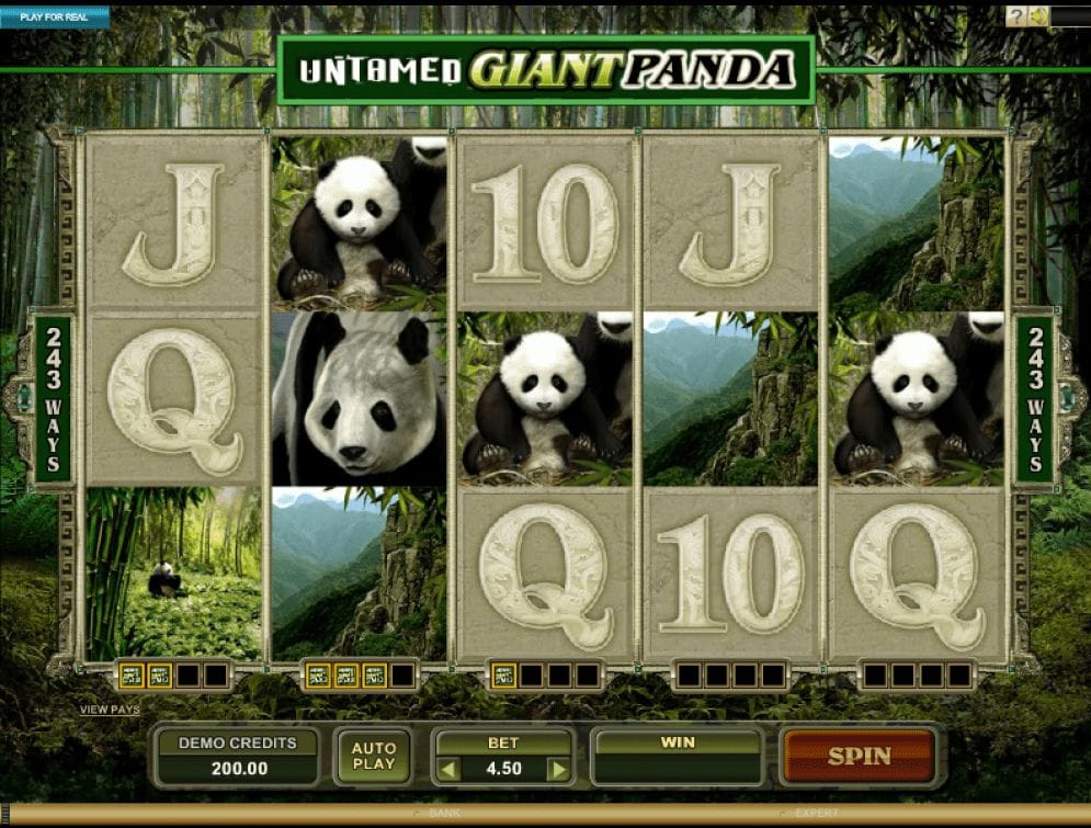 Untamed Giant Panda online Casinospiel