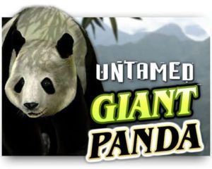 Untamed Giant Panda Automatenspiel kostenlos spielen