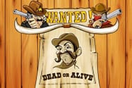 Wanted Dead or Alive Video Slot kostenlos