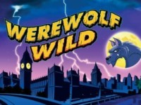 Werewolf Wild Spielautomat