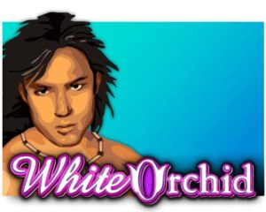 White Orchid Casinospiel freispiel