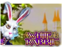 White Rabbit Spielautomat