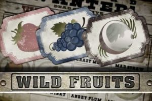 Wild Fruits Casinospiel kostenlos