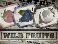 Wild Fruits Spielautomat