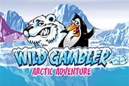 Wild Gambler Arctic Adventure Spielautomat