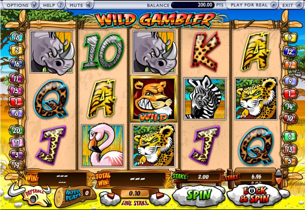 Wild Gambler online Casino Spiel