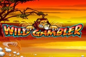Wild Gambler Automatenspiel kostenlos