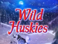 Wild Huskies Spielautomat