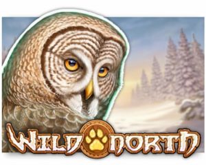 Wild North Video Slot freispiel