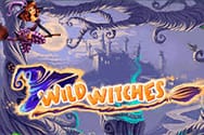 Wild Witches Video Slot freispiel