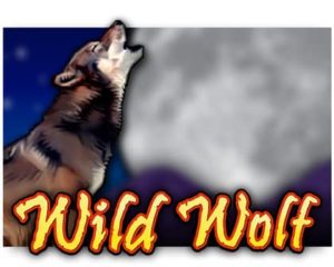 Wild Wolf Videoslot freispiel
