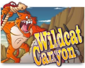 Wildcat Canyon Videoslot ohne Anmeldung