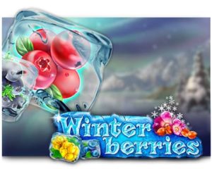 Winterberries Geldspielautomat online spielen