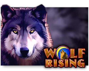 Wolf Rising Video Slot online spielen